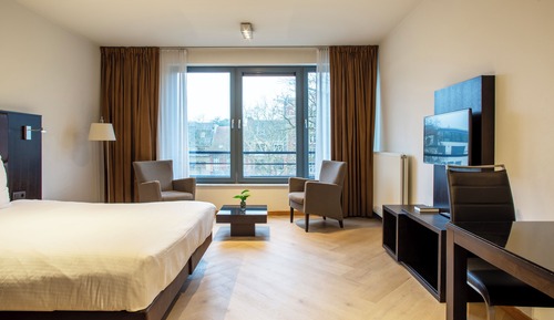 Executive Studio Suite, Kitchenette