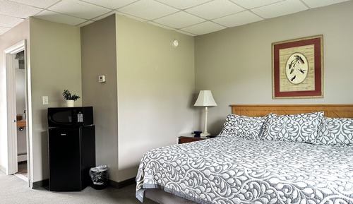 Room, 1 King Bed