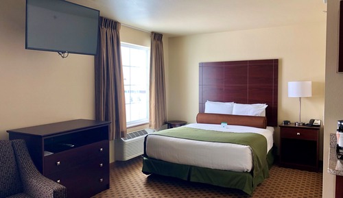 Studio, 1 Queen Bed with Sofa Bed, Accessible Roll in Shower, Non Smoking