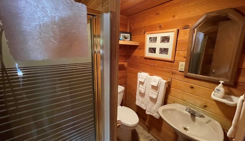 Cabin, 1 Queen Bed (Bears Den)