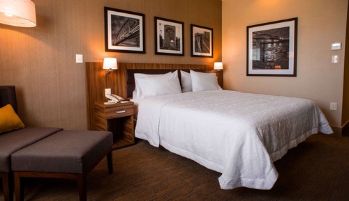 Room, 1 Queen Bed, Accessible (Roll-in Shower)