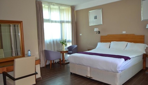 Room, 1 King Bed