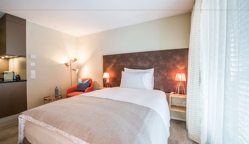 Classic Single Room, 1 Double Bed (self check-in)
