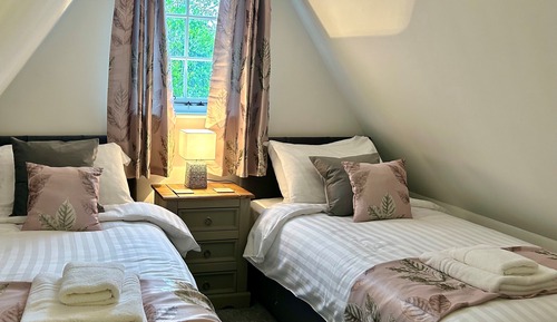 Basic Apartment, Multiple Beds