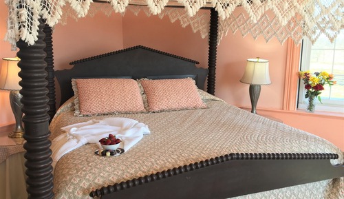 Superior Shared Dormitory, Private Bathroom, Garden View (Jacquelin Room)
