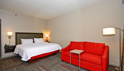 Room, 1 King Bed with Sofa bed, Non Smoking, Refrigerator & Microwave