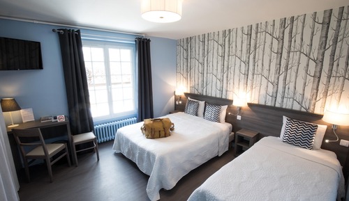 Comfort Double or Twin Room 