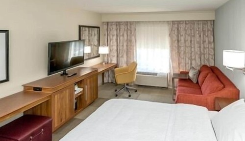 Room, 1 King Bed with Sofa bed, Accessible, Bathtub