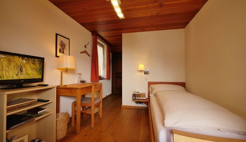 Single Room, Balcony, Mountain View