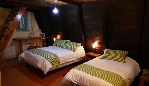 Family Cabin, Multiple Beds