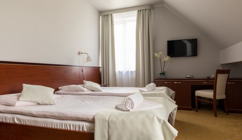 Quadruple Room (Studio)