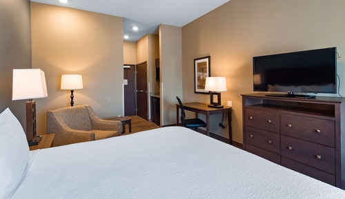 Standard Room, 1 King Bed, Non Smoking, Refrigerator & Microwave