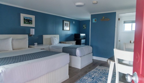 Standard Room, Multiple Beds (No pets allowed)