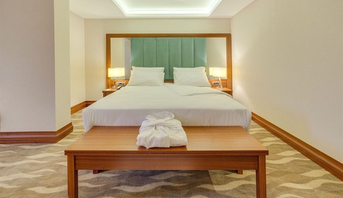 Standard Double Room Single Use