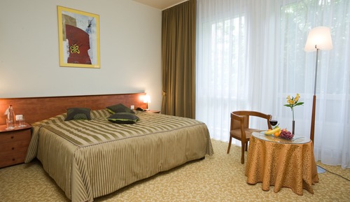 Superior Room, Non Smoking (Doulbe or Twin beds)