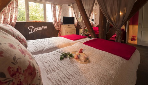 Double Room (Robijn)