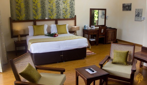 Standard Room, 1 King Bed, Non Smoking, Courtyard Area