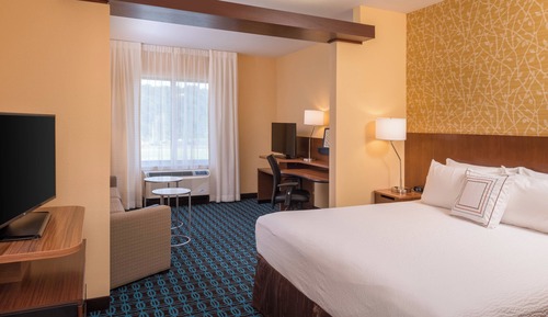 Suite, 1 King Bed with Sofa bed