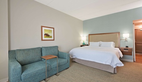 Room, 1 King Bed, Non Smoking, Refrigerator