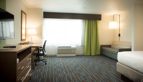 Suite, 1 King Bed with Sofa bed
