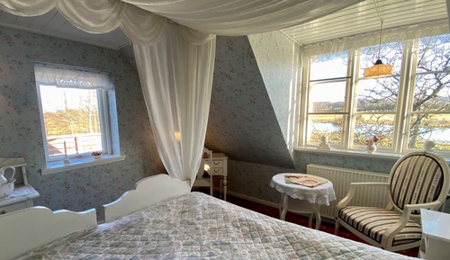 Junior Suite - Terrace