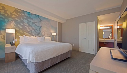 Suite, 1 King Bed with Sofa bed, Non Smoking