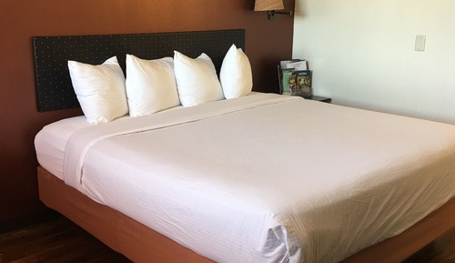 Room, 1 King Bed