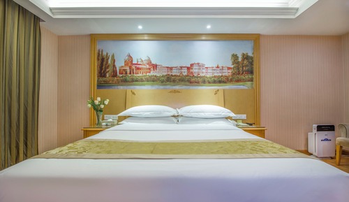 Single Room(No Window)