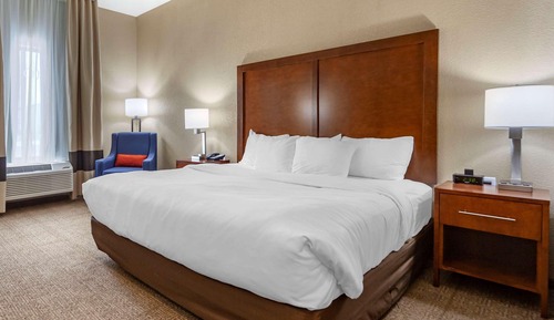 Standard Room, 1 King Bed, Non Smoking (Pet Friendly)
