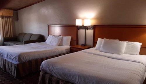 Room, Multiple Beds