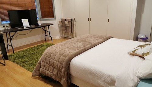Deluxe Room, 1 Queen Bed (Deluxe Queen Room)