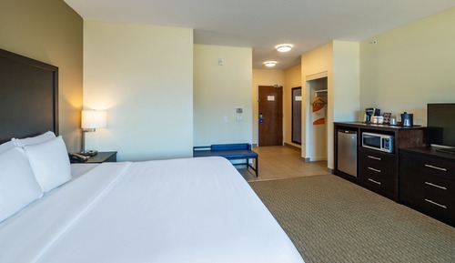 Room, 1 King Bed, Non Smoking