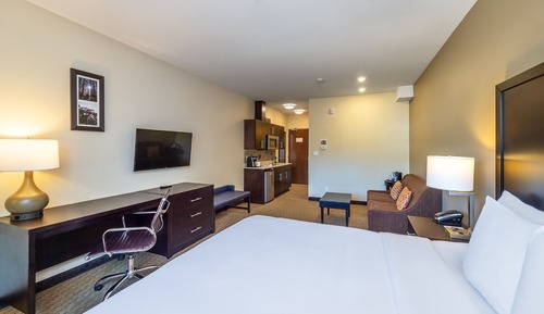 Efficiency, Suite, 1 King Bed with Sofa bed, Non Smoking