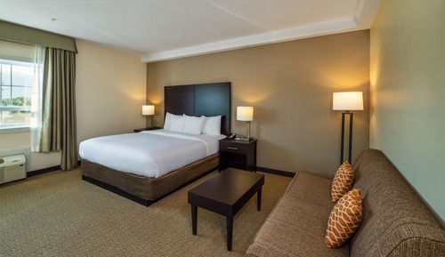 Standard Room, 1 King Bed with Sofa bed, Non Smoking