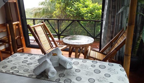 Suite, Forest View