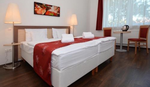 Standard Double Room