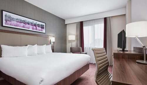 Executive King Room