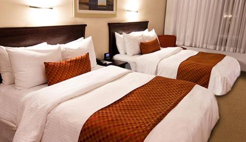 Executive Queen Room with Two Queen Beds