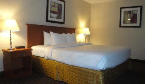 King Room - Non-Smoking