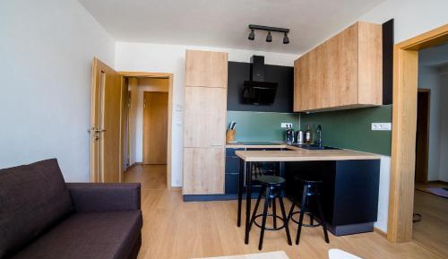 Apartment with Mountain View