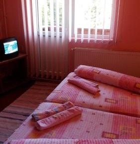 Deluxe Double or Twin Room with Balcony