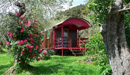Caravan Economy