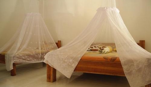 Triple Room with Terrace
