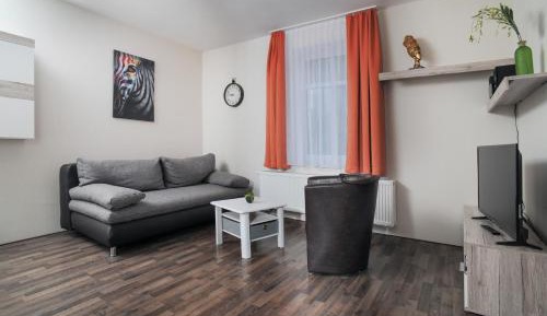 One-Bedroom Apartment with Sofa Bed