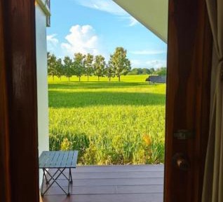 Twin Room with Garden View