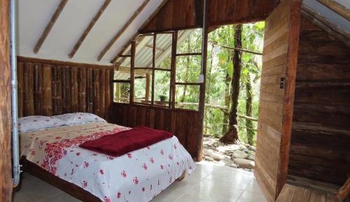 Double or Twin Room with View