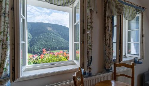 Double Room with Mountain View