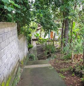 Double Room with Park View