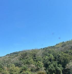 Superior Chalet