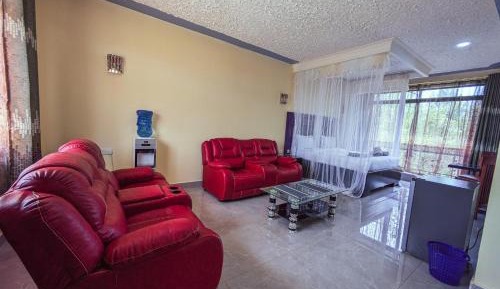 Studio with Garden View